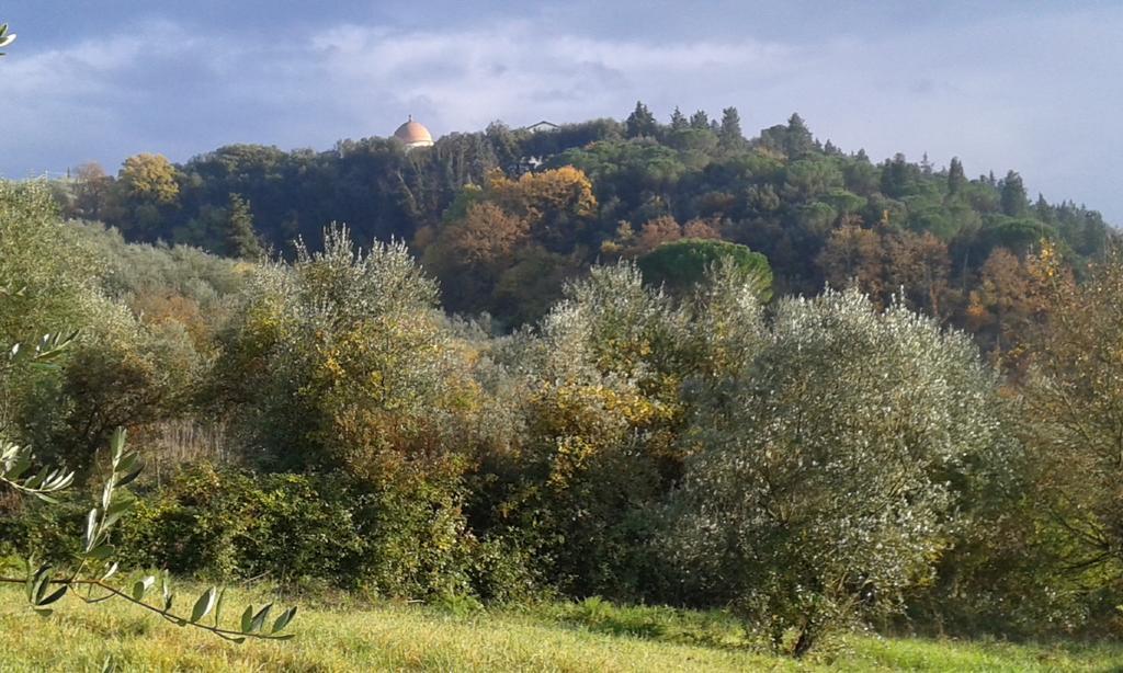 La Casetta Di Barbara Impruneta Exterior foto